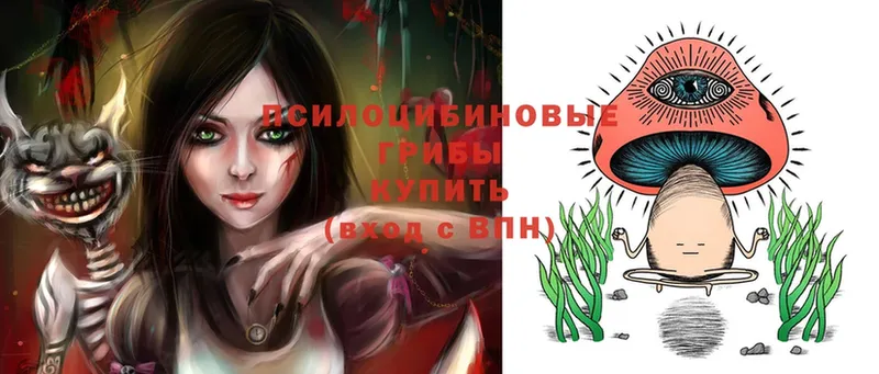 Псилоцибиновые грибы Psilocybe  blacksprut вход  Лукоянов  где можно купить  